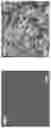 Fig. 05 - Metal organic framework (MOF) composite materials, methods, and uses thereof