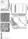Fig. 05 - Supramolecular filamentous assemblies for protein purification