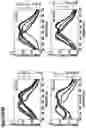 Fig. 09 - Supramolecular filamentous assemblies for protein purification