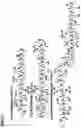 Fig. 12 - Supramolecular filamentous assemblies for protein purification