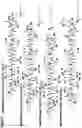 Fig. 13 - Supramolecular filamentous assemblies for protein purification