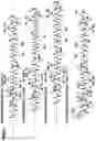 Fig. 14 - Supramolecular filamentous assemblies for protein purification