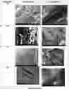 Fig. 09 - Superabsorbent materials and methods of making the same