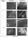 Fig. 12 - Superabsorbent materials and methods of making the same