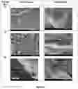 Fig. 13 - Superabsorbent materials and methods of making the same