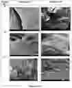 Fig. 14 - Superabsorbent materials and methods of making the same