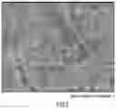 Fig. 03 - Carbon dioxide adsorbent and method for manufacturing same, as well as carbon dioxide separation system