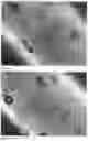 Fig. 11 - A SYSTEM AND DEVICE
