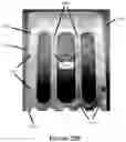 Fig. 32 - Apparatus for and method of processing biological samples