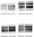 Fig. 40 - Apparatus for and method of processing biological samples