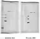 Fig. 44 - Apparatus for and method of processing biological samples