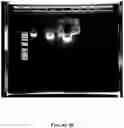 Fig. 48 - Apparatus for and method of processing biological samples