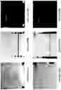 Fig. 51 - Apparatus for and method of processing biological samples