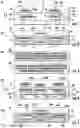 Fig. 02 - Microfluidic package