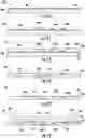 Fig. 04 - Microfluidic package