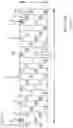 Fig. 21 - Material reducing apparatus having a system for allowing a reducing rotor to be selectively configured in multiple different reducing configurations