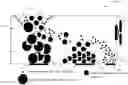 Fig. 01 - A SEGREGATION UNIT FOR A SOLID WASTE MANAGEMENT SYSTEM AND A METHOD OF SEGREGATING THEREOF