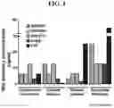 Fig. 02 - FUNCTIONAL DERIVATIVE COMPOUNDS OF ALANINE AND PROLINE AMINO ACIDS AND PHARMACEUTICAL COMPOSITION COMPRISING SAME