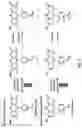 Fig. 02 - Selective fluorescent probe for aldehyde dehydrogenase