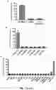 Fig. 04 - Selective fluorescent probe for aldehyde dehydrogenase