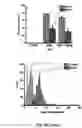Fig. 33 - Selective fluorescent probe for aldehyde dehydrogenase