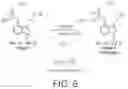 Fig. 06 - Preparation of psilocybin, different polymorphic forms, intermediates, formulations and their use
