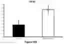 Fig. 49 - Compositions and methods for treating alzheimer's disease
