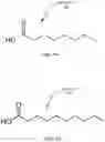 Fig. 02 - Micellar extended release nanostructures