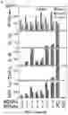 Fig. 07 - Functionally-interdependent shape switching nucleic acid nanoparticles