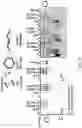 Fig. 47 - Functionally-interdependent shape switching nucleic acid nanoparticles