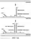 Fig. 09 - Probes for improved melt discrimination and multiplexing in nucleic acid assays