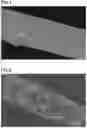 Fig. 02 - FIBERS BASED ON POLY(VINYL ALCOHOL)