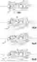 Fig. 02 - TEMPERATURE-MODULATED RECUPERATED GAS TURBINE ENGINE