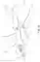 Fig. 22 - Conduits for transporting fluids