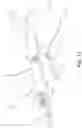Fig. 22 - CONDUITS FOR TRANSPORTING FLUIDS AND METHODS OF FABRICATING THE SAME