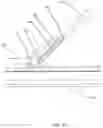 Fig. 09 - Stand for use with electronic device