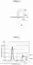 Fig. 08 - DAYLIGHTING MEMBER AND DAYLIGHTING DEVICE