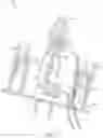 Fig. 12 - Illumination devices