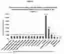 Fig. 07 - Process For The Characterization Of Glatiramer Acetate