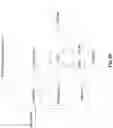 Fig. 33 - New Apparatus and Methods for Disease Detection