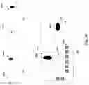 Fig. 35 - New Apparatus and Methods for Disease Detection