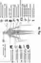 Fig. 65 - New Apparatus and Methods for Disease Detection