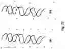 Fig. 80 - New Apparatus and Methods for Disease Detection