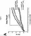 Fig. 35 - A METHOD FOR DETERMINING MYELOID NATURAL KILLER (NK)-CELLS AND USE THEREOF