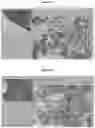Fig. 43 - A METHOD FOR DETERMINING MYELOID NATURAL KILLER (NK)-CELLS AND USE THEREOF