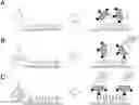 Fig. 01 - METHOD OF DETECTING SPECIMEN SUBSTANCE USING MULTIPHASE POLYMER FINE PARTICLES