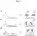 Fig. 04 - METHOD OF DETECTING SPECIMEN SUBSTANCE USING MULTIPHASE POLYMER FINE PARTICLES