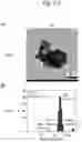 Fig. 09 - METHOD OF DETECTING SPECIMEN SUBSTANCE USING MULTIPHASE POLYMER FINE PARTICLES