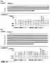 Fig. 03 - Monoclonal antibody specifically binding to thioredoxin 1, and use thereof