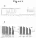 Fig. 06 - Influenza potency assays